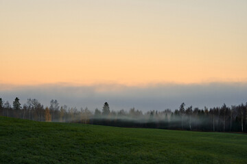 misty morning by the field