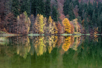 Obraz premium Saint Anna lake – the unique volcanic lake in Romania