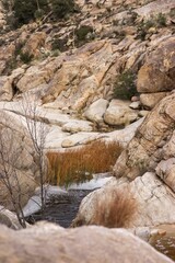 Vertical of river flowing through the Catalina State Park in Arizona, USA