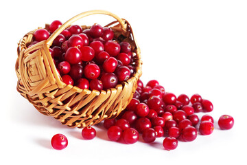 Cranberries in wicker basket