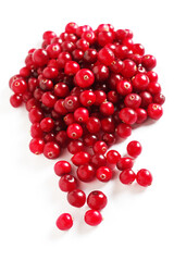 Red forest cranberry