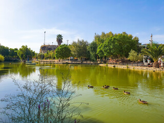 Vega Baja del Segura - Benijofar - Vistas y paisajes en este municipio de Alicante: iglesia, plaza, noria árabe y Parque Cañada Marsá