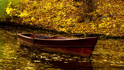 boat in the water, autumn park with a boat, close up