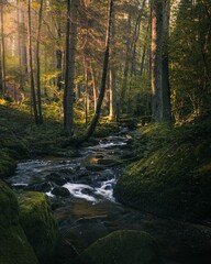 Vertical shot of a beautiful stream in a mysterious forest in Czech Republic