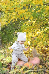 little girl in in autumn park