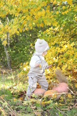 little girl in in autumn park