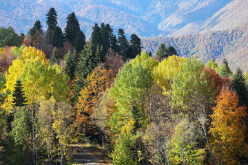 Beautiful autumn landscape in the mountains. Golden autumn. Colorful forest on the slopes of steep mountains.