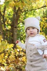 little girl in in autumn park