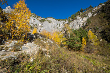 View of Altay mountains in the autumn