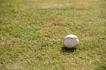 Baseball ball seen laying on grass