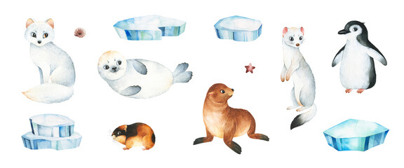 Watercolor  winter collection with arctic fox,lemming,fur seal,penguin,ermine.Isolated animals.Perfect for invitation,wallpaper,print,textile,holiday,school,patterns,scrapbooking,packaging etc