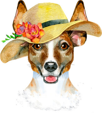 Watercolor portrait of jack russell terrier in summer hat