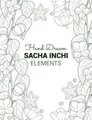 Sacha Inchi elements template Modern vector pattern design layout Isolated