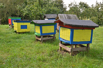 Wooden colorful beehives in a meadow on a summer day