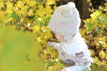 little girl in in autumn park