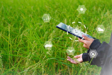 Innovative Smart Farm System Technology, Agricultural Management Mobile smartphone with smart technology concept, to store data for study.