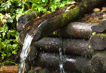 Mountain brook. Wooden log well.