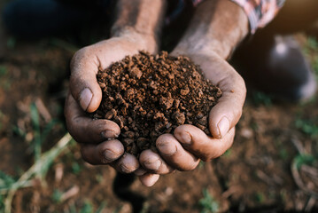 Farmers' expert hands check soil health before planting vegetable seeds or seedlings. Business idea or ecology.