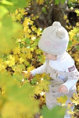 little girl in in autumn park
