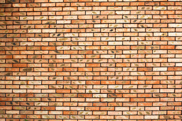 Brick wall