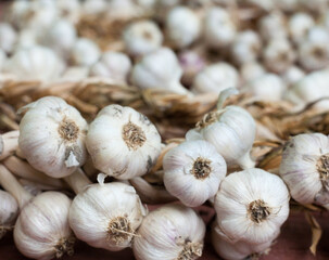 Garlic wreaths. Rich harvest.