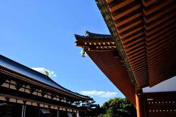 Fototapeta na wymiar 奈良、薬師寺，寺院、日本古来の建築物、伝統的な建築物、木造、ビデオ映像