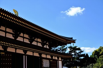 奈良、薬師寺，寺院、日本古来の建築物、伝統的な建築物、木造、ビデオ映像