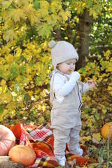 child with pumpkin