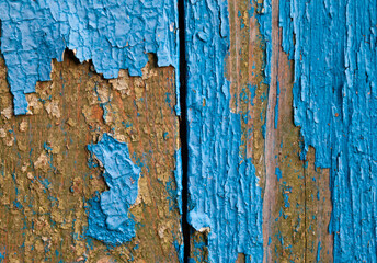 Old wooden surface with cracked blue paint