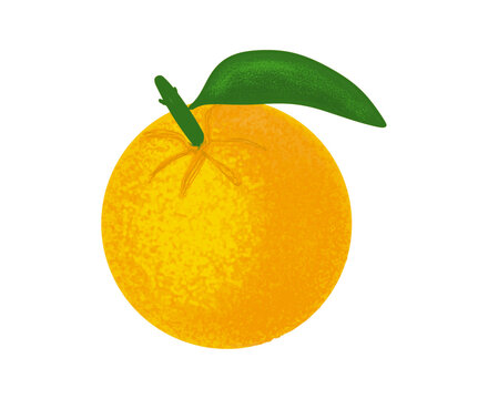 Orange, citrus fruit with a leaf, a color picture of the fruit, on a transparent background, for New Year's design and printing