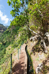 Fototapeta na wymiar Hiking trail along Levada Nova hike tour portrait format on Madeira island in Portugal