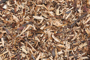 Juniper wood. Juniper (Juniperus communis) is used as a medicinal and ornamental plant and as spice. Juniper wood as well as twigs and  berries are also popularly used for incense. Close up, top view.