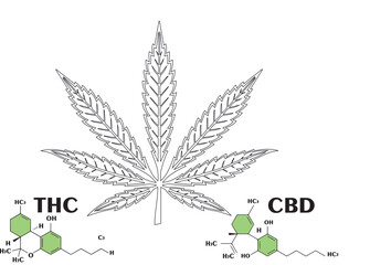 Various glass bottles with CBD oil, THC tincture and hemp leaves on a marble background. Flat lay, minimalism. Cosmetics CBD oil.