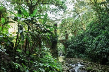 Old bridge crossing tropical stony stream in Mexico