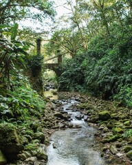 Old bridge crossing tropical stony stream in Mexico