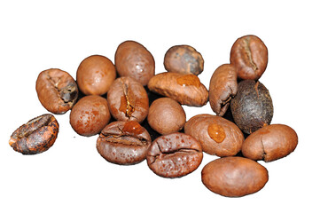 Fototapeta premium coffee beans isolated on white