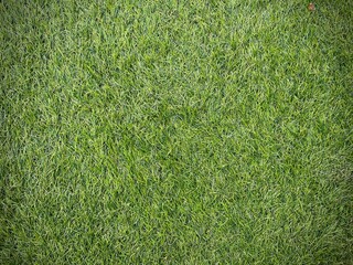 Top view of green artificial grass background good for decoration or wallpaper