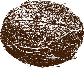 Coconut imprint stamp PNG