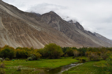 Nubra, also called Dumra, is a historical region of Ladakh, India that is currently administered as a subdivision and a tehsil in the Leh district.