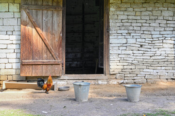 Obraz premium Farm buildings in the Lublin Open Air Village Museum