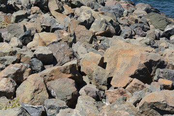 Rocky beach on sunny day, closeup view