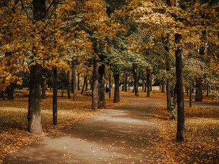 autumn in a park on a city street outdoors