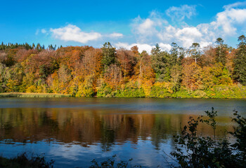 beautiful Autumn colours of the trees at Castlewellan Lake
