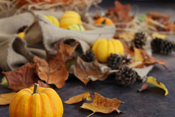 秋の背景　感謝祭やハロウィンの背景　オレンジや黄色のカボチャと落ち葉や松ぼっくりの飾り付け