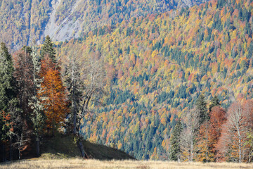 Beautiful autumn landscape in the mountains. Golden autumn. Colorful forest on the slopes of steep mountains.