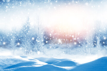  Frozen winter forest with snow covered trees.