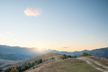 Beautiful trees in autumn foggy morning