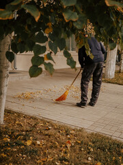 janitor sweeps the foliage in the fall on an outdoor city street