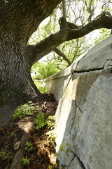The wall around a 200 year old Cape Dutch farmhouse in the Western Cape