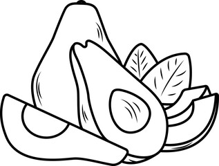 Vector illustration of cut avocadoes